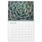 Succulents 2011のカレンダー カレンダー (1月 2027)