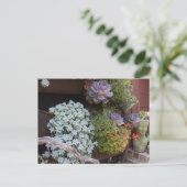 Succulents Postcard ポストカード (スタンド正面)