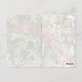 Succulents Postcard ポストカード (裏面)