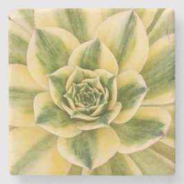 Succulishusの大理石のコースター ストーンコースター