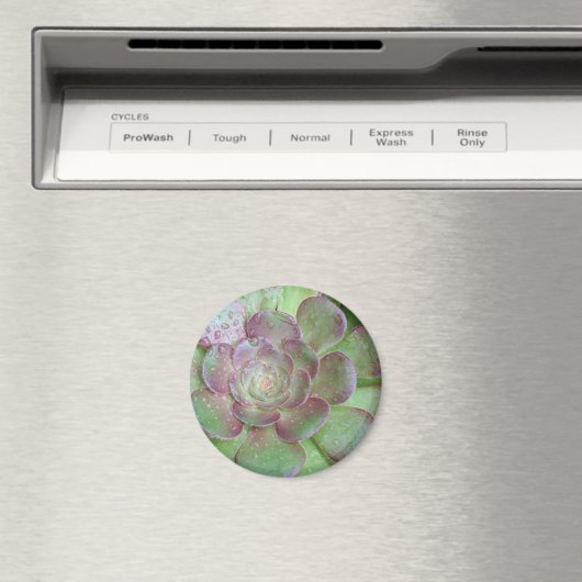 SUcent マグネット (インサイチュ (食洗機))