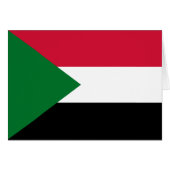 Sudan Flag (正面横)