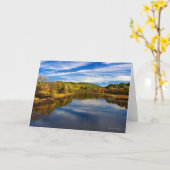 Sudburyの川: 一致、MA カード (黄色い花)