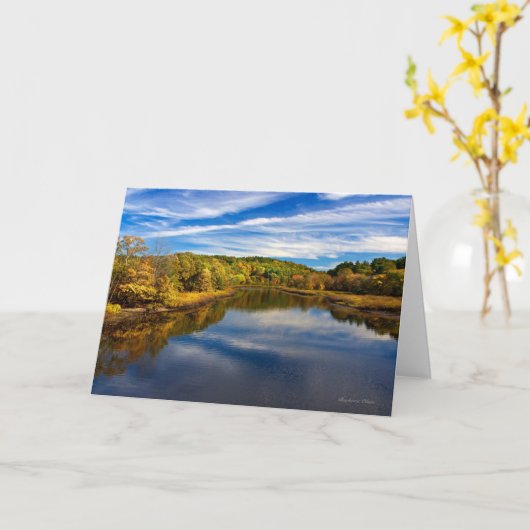 Sudburyの川: 一致、MA カード (黄色い花)