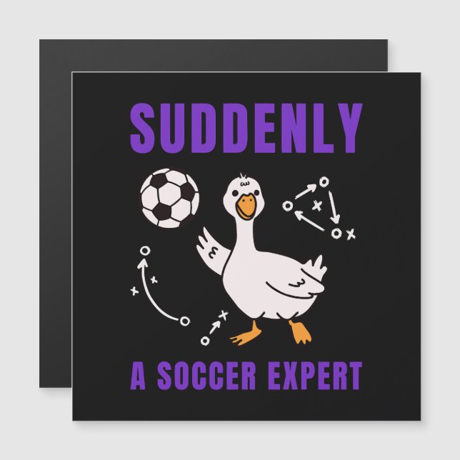 Suddenly a soccer expert (正面/裏面)