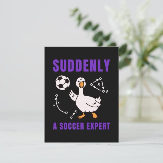 Suddenly a soccer expert カード (スタンド正面)