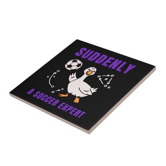 Suddenly a soccer expert タイル (側面)