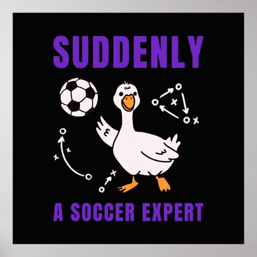 Suddenly a soccer expert ポスター (正面)