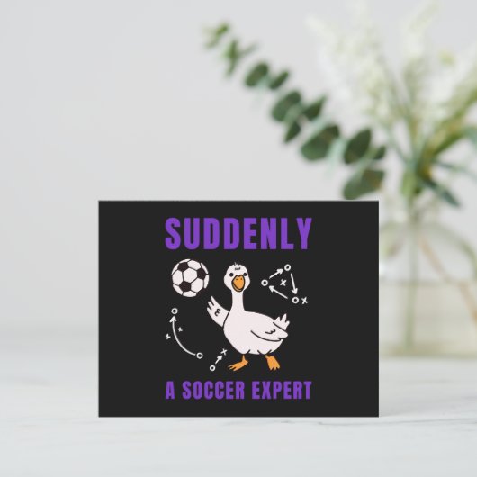 Suddenly a soccer expert 招待状 (スタンド正面)