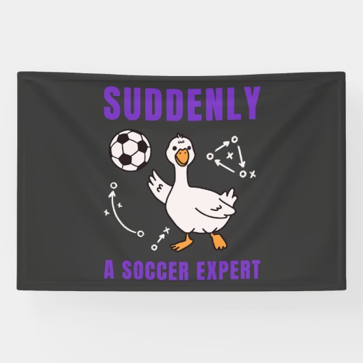 Suddenly a soccer expert 横断幕 (横)