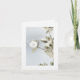 Sueños de Puerto Rico サンキューカード