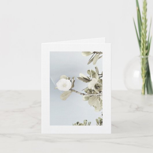 Sueños de Puerto Rico サンキューカード (正面)