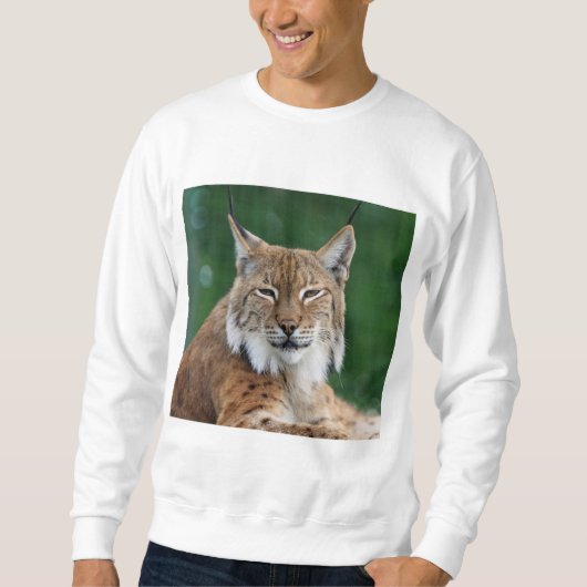 Suéter Lince CCO. スウェットシャツ (正面)