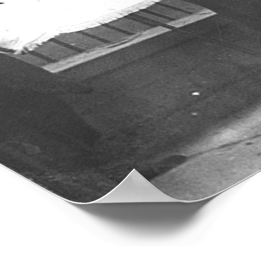 Suffragettes Picket the White House ポスター (角)