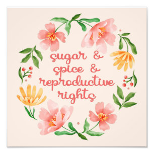 Sugar & Spice & Reproductive Rights III フォトプリント