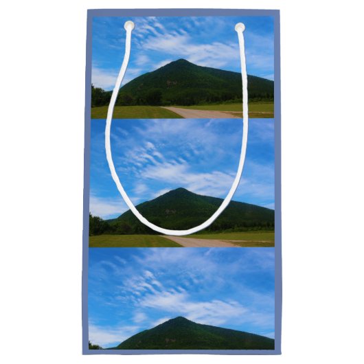 Sugarloaf山 スモールペーパーバッグ (正面)