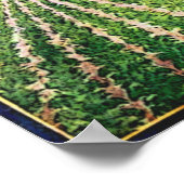 Suger Beet Culture Vintageポスター ポスター (角)