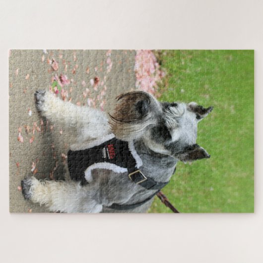 Suki ジグソーパズル (横)