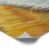 Suki -柴犬 ポスター (角)