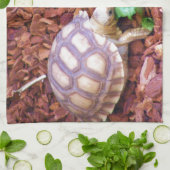 SulcataのカメのHatchlings キッチンタオル (折り畳み)