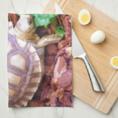 SulcataのカメのHatchlings キッチンタオル (四つ折り)