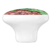 SulcataのカメのHatchlings セラミックノブ (側面)