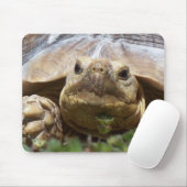 Sulcataのカメ マウスパッド (マウス)