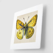 Sulfur butterfly Colias 130924IREF208 - Watercolor スクエア壁時計 (傾斜)