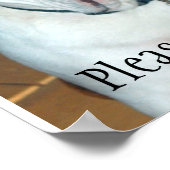 "Sullivan"，イギリスのブルドッグ/ポスター ポスター (角)