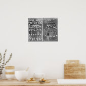 Sultan Ahmed IIIお金 ポスター (キッチン)