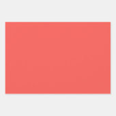 Sumac & Thyme Wrapping Paper Flat Sheet Set of 3 ラッピングペーパーシート (正面2)