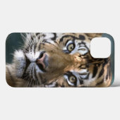 Sumatranのオスのトラ(ヒョウ属のチグリス川のsumatrae) Case-Mate iPhoneケース (裏面 (横))
