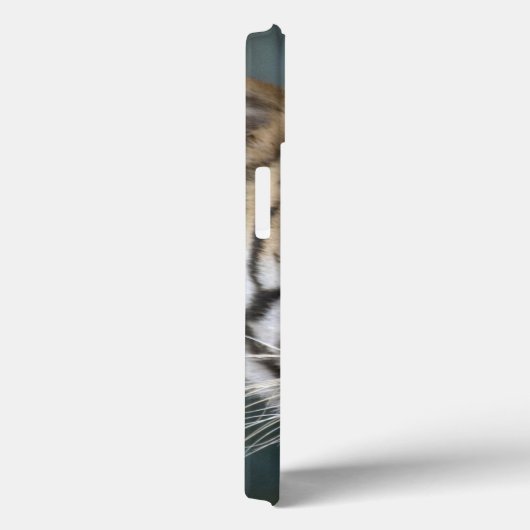 Sumatranのオスのトラ(ヒョウ属のチグリス川のsumatrae) Case-Mate iPhoneケース (裏面 / 右)