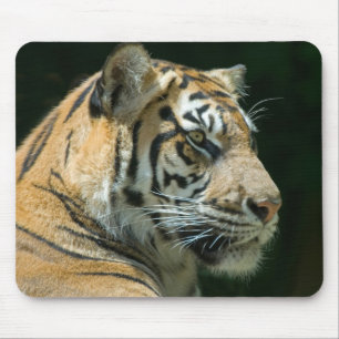 Sumatranのトラのマウスパッド マウスパッド