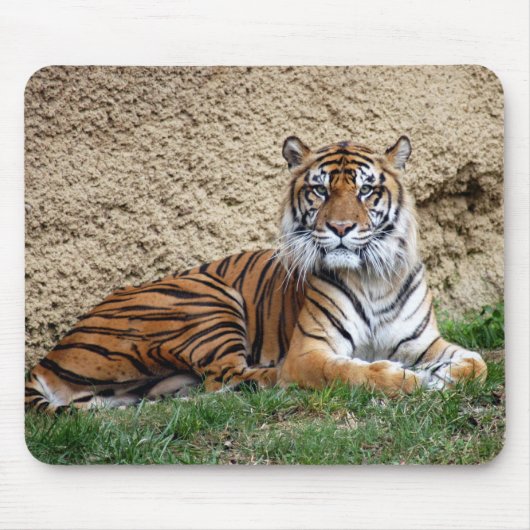 sumatranのトラ7 マウスパッド (正面)