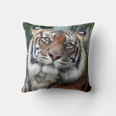 Sumatranのトラ クッション (裏面)