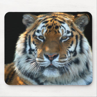 Sumatranの威厳のあるなトラ マウスパッド