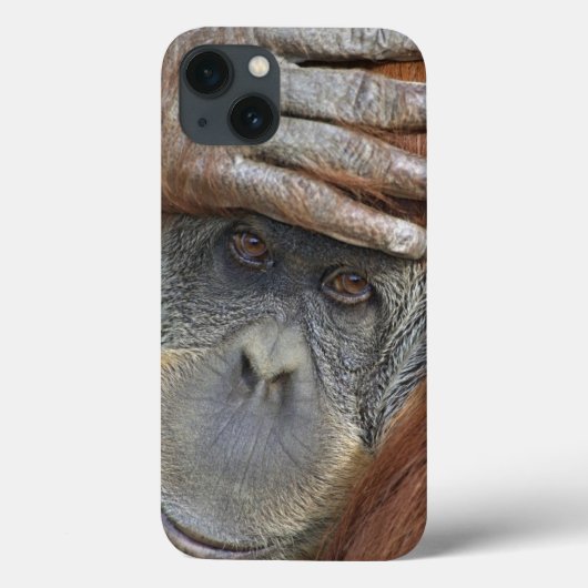 Sumatranの捕虜のメスのオランウータン Case-Mate iPhoneケース (裏面)