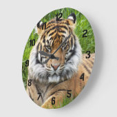Sumatran Tiger Wildlife Photo ラージ壁時計 (傾斜)