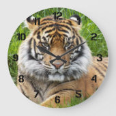 Sumatran Tiger Wildlife Photo ラージ壁時計 (正面)