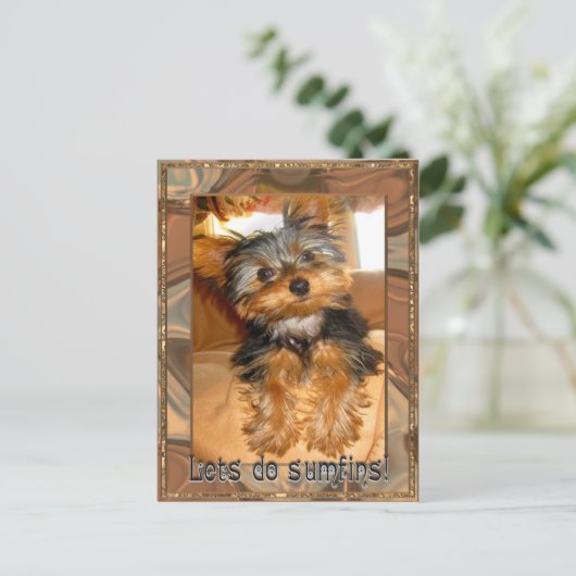 Sumfinsヨークシャーテリア ポストカード (スタンド正面)