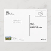 Summer At War Eagle Millポストカード ポストカード (裏面)