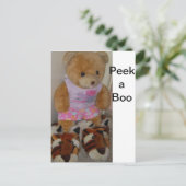 「Summer Bear in Tiger Shoes」 CricketDiane ポストカード (スタンド正面)