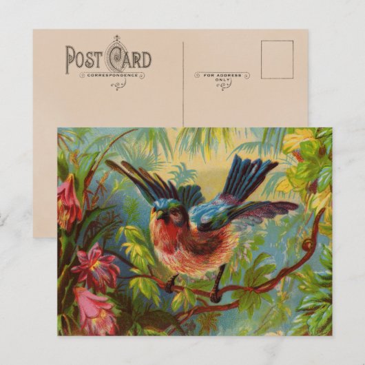 Summer Bluebirdはがき ポストカード (正面/裏面)