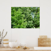 Summer Breeze ポスター (キッチン)