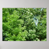 Summer Breeze ポスター (正面)