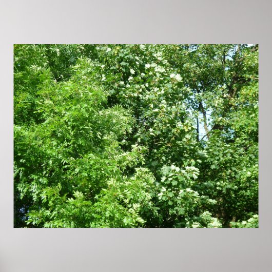 Summer Breeze ポスター (正面)