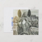 SUMMER BREEZE 5.25 x 5.25 card 招待状 (正面/裏面)