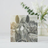 SUMMER BREEZE 5.25 x 5.25 card 招待状 (スタンド正面)