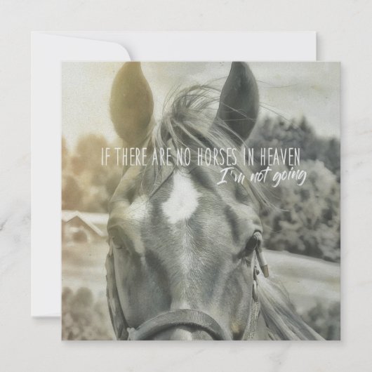 SUMMER BREEZE 5.25 x 5.25 card 招待状 (正面)